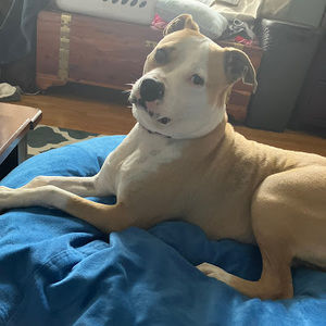 Meet your Posher, Rory